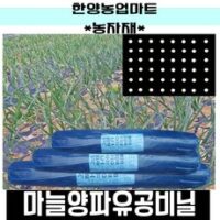 농자재-양파마늘유공비닐/양파비닐/마늘비닐/농업용유공멀칭비닐/텃밭/흑색/비니루, 0.015X120X200흑10구(마늘용외), 1개