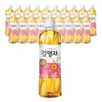 웅진 광명찾은 결명자차, 500ml, 20개