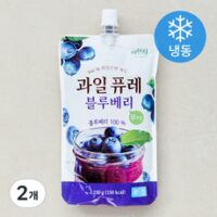 자연원 요리조리 과일퓨레 블루베리 (냉동), 230g, 2개