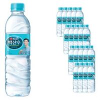 농심 백산수, 500ml, 40개 외 백산수500ml 인기 상품 TOP 8가지