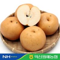 안성배 인기 상품 농협 가정용 실속배 5kg(7-15과내), 1개 외 BEST8