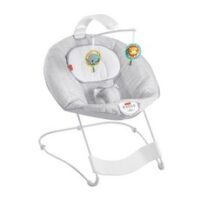 피셔프라이스 씨앤수드 디럭스 하스스톤 바운서 Fisher-Price See & Soothe Deluxe Bouncer Hearthstone