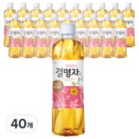 웅진 광명찾은 결명자차, 500ml, 40개