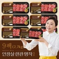 김나운더키친 안창살 한판 명작 9팩(각 300g), 단품