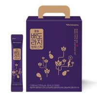 광동 배도라지 쌍화 스틱 100p, 1000ml, 1개