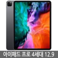 아이패드 프로 4세대 12.9인치 WiFi/LTE 셀룰러 정품, 그레이, 128GB, Wi-Fi+Cellular