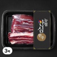 농협안심한우 사태 1+등급 수육 장조림용 (냉장), 300g, 3팩