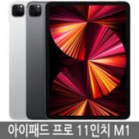 아이패드 프로 3세대(5세대) 11인치 M1 128GB 256GB 기가 WiFi/LTE 셀룰러 정품, Wi-Fi