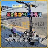 [사은품증정 오늘출발] 위페드 폴드 미니 10 WEPED FOLD MINI 10 다크실버 전동킥보드 외 위패드미니10 인기 상품 TOP 8가지