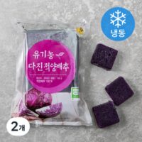 유기가공식품 인증 웰팜넷 유기농 다진적양배추 (냉동), 100g, 2개