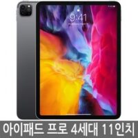 아이패드 프로 4세대(2세대) 11인치 128GB 256GB WiFi/셀룰러 기가 정품, 셀룰러