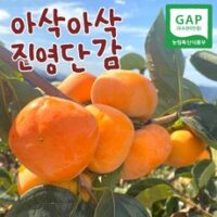 [진영단감] 아삭단감 2.5KG 5.0kg 내외 태추 부유단감, 아삭달달 진영단감 5.0kg, 1개