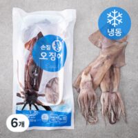 양포어장 손질 통오징어 중 2미 (냉동), 320g, 6개