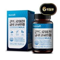 글루코사민 8가지 콘드로이친 글루코사민 1000mg x 180정 6개월분, 1개 외 인기BEST