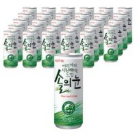 롯데칠성음료 머리까지 시원해지는 느낌 솔의눈, 240ml, 30개 외 솔의눈 추천 상품 TOP 8가지