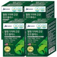 징코플러스 TOP 8가지 선정, JW 중외제약 징코플러스 은행잎추출물(미국산) 120mg 비타민E 비타민B1 B2 B6 아연, 600mg * 30정 4박스, 4개, 30개