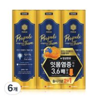 프로폴리테라치약 8가지 페리오 프로폴리테라 치약 클래식민트, 100g, 6개 외 추천BEST