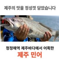 [제주어부] 100% 제주 민어 특대 <한정특가>, 6마리(2,400g이상), 1개 외 민어 추천 상품 TOP 8가지